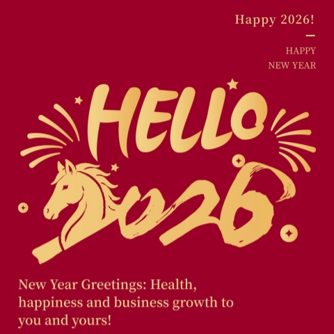 Дух лошадей в новом году: LFT доставляет праздничные подарки